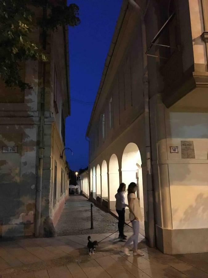 Arkadia Apartman Pápa Екстериор снимка